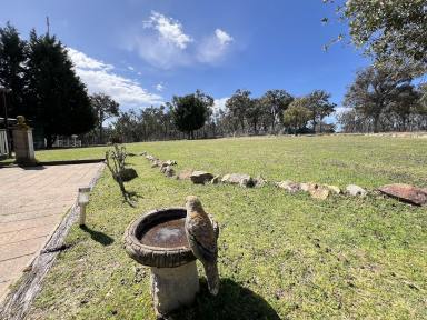 Acreage/Semi-rural For Sale - NSW - Bungonia - 2580 - 25 acres, Mountain & Valley Views, 3 BR Cottage, Triple Garage/Workshop, Power, Studio, Perfect Lifestyle Property.  (Image 2)