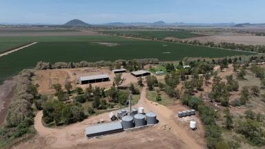 Other (Rural) For Sale - NSW - Mullaley - 2379 - Carnarvon Aggregation, Mullaley  (Image 2)