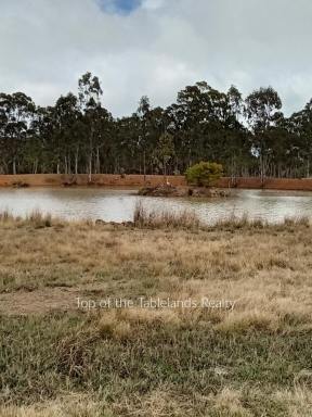 Livestock For Sale - QLD - Millstream - 4888 - What ever you want, lots of land and water.  (Image 2)