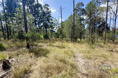 Residential Block For Sale - QLD - Glenwood - 4570 - BUILD YOUR HOME AMONGST THE GUM TREES!  (Image 2)