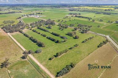 Dairy For Sale - VIC - Kotta - 3565 - MAGNIFICENT DAIRY FARM AND COMPREHENSIVE SHEDDING ON 263 ACRES  (Image 2)