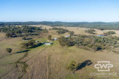 Mixed Farming For Sale - NSW - Wellingrove - 2370 - "Greenhills" on the Severn River  (Image 2)