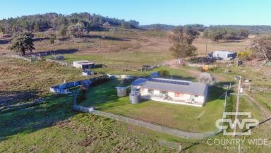 Mixed Farming For Sale - NSW - Wellingrove - 2370 - "Greenhills" on the Severn River  (Image 2)