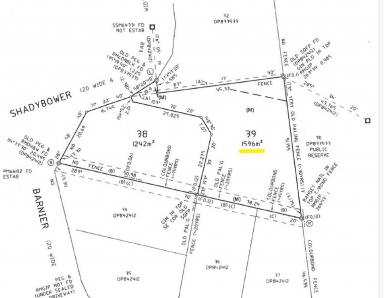 Residential Block For Sale - NSW - Junction Hill - 2460 - HUGE HOMESITE RIGHT IN JUNCTION HILL  (Image 2)