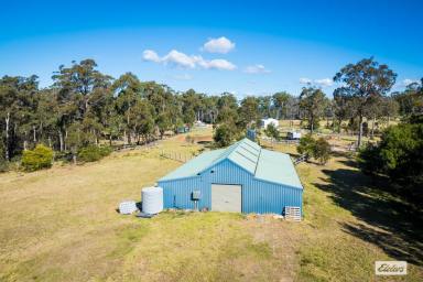 Residential Block For Sale - NSW - Kalaru - 2550 - Exceptional Development Opportunity – 60+ Acres Near Blackfellows Lake, Kalaru  (Image 2)