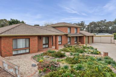 House Sold - VIC - Strathdale - 3550 - Charming Home in Peaceful Neighbourhood  (Image 2)