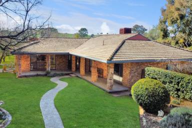 Lifestyle Sold - NSW - Cowra - 2794 - Idyllic country home on 10 Acres*!  (Image 2)