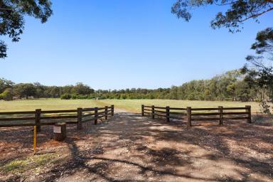 Lifestyle For Sale - QLD - Hampton - 4352 - Your Dream Lifestyle Awaits in Beautiful Hampton!  (Image 2)