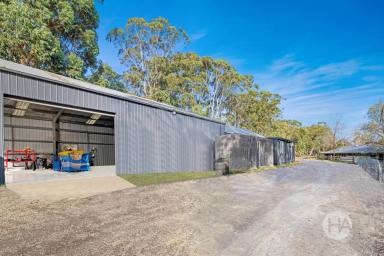 Acreage/Semi-rural For Sale - VIC - Mornington - 3931 - 10 Acres Of Rare Acreage Living in the Heart of Mornington  (Image 2)