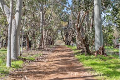 House For Sale - WA - Gidgegannup - 6083 - "Lakeside Living"  (Image 2)