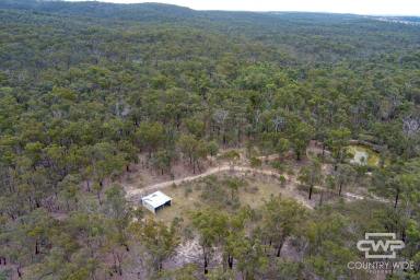 Lifestyle Sold - NSW - Wellingrove - 2370 - Lifestyle Retreat  (Image 2)