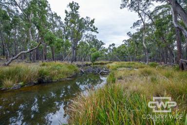 Lifestyle Sold - NSW - Wellingrove - 2370 - Lifestyle Retreat  (Image 2)