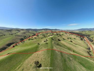 Farmlet For Sale - VIC - Ensay - 3895 - 198 WATTS CREEK ROAD ENSAY - FRASER FARM  (Image 2)