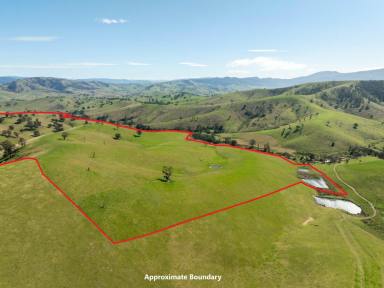 Farmlet For Sale - VIC - Ensay - 3895 - 198 WATTS CREEK ROAD ENSAY - FRASER FARM  (Image 2)