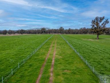 Residential Block Auction - VIC - Bonegilla - 3691 - “Tyrells” Ryan’s Rd – 200 Acres (80ha)  (Image 2)