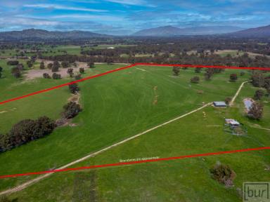 Residential Block Auction - VIC - Bonegilla - 3691 - “Tyrells” Ryan’s Rd – 200 Acres (80ha)  (Image 2)