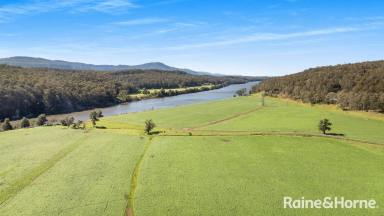 Livestock For Sale - NSW - Longreach - 2540 - Wogamia Farm  (Image 2)