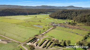 Livestock For Sale - NSW - Longreach - 2540 - Wogamia Farm  (Image 2)