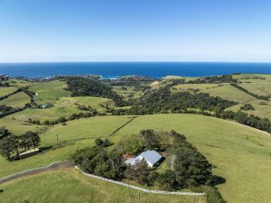 House Auction - NSW - Kiama - 2533 - 'Munna Munnora'  (Image 2)