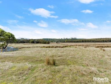 Residential Block For Sale - TAS - Erriba - 7310 - Over 48 Acres For Livestock or Weekend Lifestyle!  (Image 2)