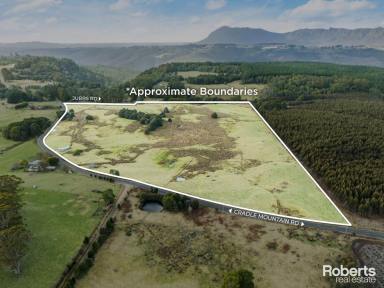 Residential Block For Sale - TAS - Erriba - 7310 - Over 48 Acres For Livestock or Weekend Lifestyle!  (Image 2)