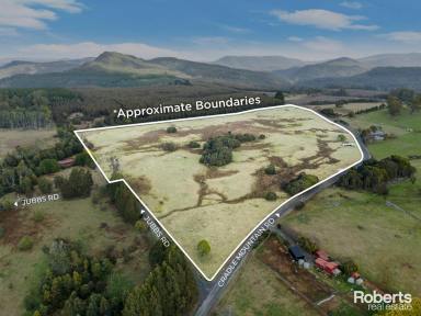 Residential Block For Sale - TAS - Erriba - 7310 - Over 48 Acres For Livestock or Weekend Lifestyle!  (Image 2)