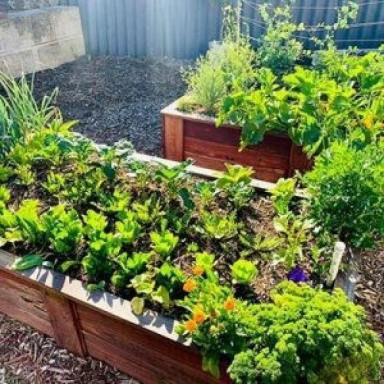 Business For Sale - WA - Perth - 6000 - Leading Organic Gardening Business in Perth/Neerabup, WA  (Image 2)