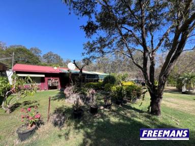 House For Sale - QLD - Wattle Camp - 4615 - 22 Acres offering complete privacy  (Image 2)