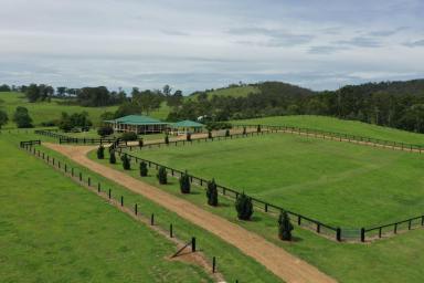 Mixed Farming For Sale - NSW - Woodenbong - 2476 - "TOOKAWHILE"  (Image 2)