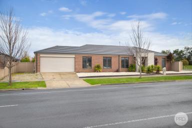 House For Sale - VIC - Winter Valley - 3358 - Immaculate 4-Bedroom Home With Prime Location And Modern Comfort  (Image 2)