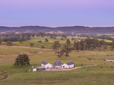 Lifestyle For Sale - NSW - Glen William - 2321 - Luxury Living with the Acres to Match  (Image 2)