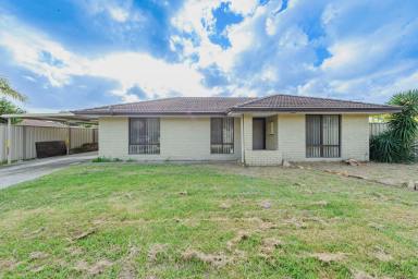 House Sold - WA - Forrestfield - 6058 - Charming 3-Bed Home in Forrestfield  (Image 2)