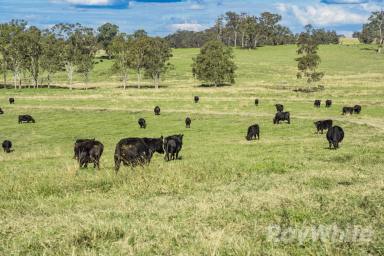 Other (Rural) Sold - NSW - Dungog - 2420 - Position and production to perfection at Pilchers  (Image 2)