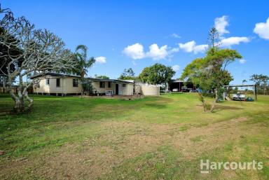 House For Sale - QLD - Welcome Creek - 4670 - JUST MINUTES AWAY TO MOORE PARK BEACH! Family home | 1.5 acres | 5-Bay Shed  (Image 2)