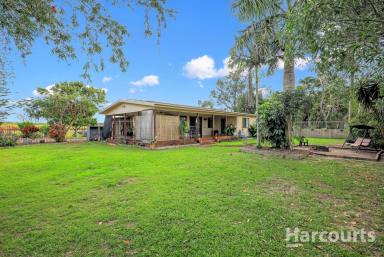 House For Sale - QLD - Welcome Creek - 4670 - JUST MINUTES AWAY TO MOORE PARK BEACH! Family home | 1.5 acres | 5-Bay Shed  (Image 2)