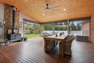 Acreage/Semi-rural Sold - VIC - Carisbrook - 3464 - Tranquil 12-Acre Retreat: Cedar Home & Equestrian Haven in Carisbrook  (Image 2)