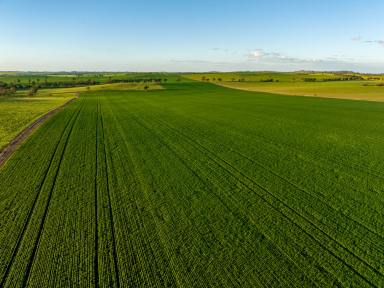 Mixed Farming Sold - NSW - Marrar - 2652 - Exceptional Riverina Mixed Farming  (Image 2)