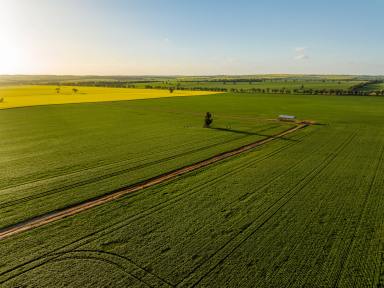 Mixed Farming Sold - NSW - Marrar - 2652 - Exceptional Riverina Mixed Farming  (Image 2)