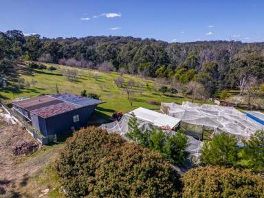 Farmlet For Sale - NSW - Canyonleigh - 2577 - Escape to the Bush  (Image 2)