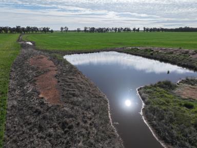 Mixed Farming For Sale - NSW - Quandary - 2665 - Very Productive Smaller Farm Suitable For A Younger Farmer  (Image 2)