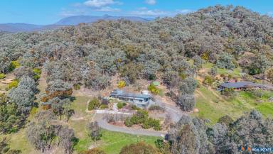 House For Sale - VIC - Buffalo River - 3737 - Three Rabbits Run: Your High Country Haven  (Image 2)