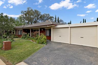 House Sold - VIC - Mildura - 3500 - Elegance and Comfort in Mildura's Premier Location  (Image 2)