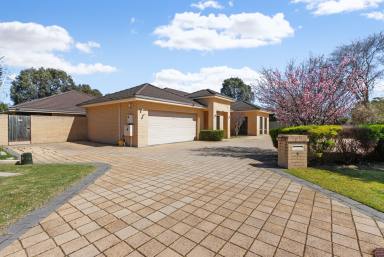 House For Sale - WA - Canning Vale - 6155 - And Now for something completely different! PRICE GUIDE MID 2 MILLION!!  (Image 2)