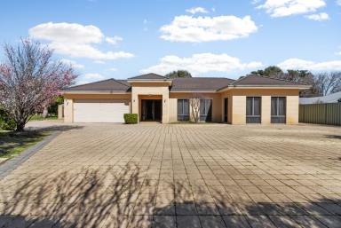 House For Sale - WA - Canning Vale - 6155 - And Now for something completely different! PRICE GUIDE MID 2 MILLION!!  (Image 2)