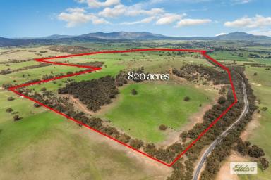 Mixed Farming For Sale - VIC - Crowlands - 3377 - 'Bates & 'Bald Hill' 820 Acres - Productive Grazing  (Image 2)