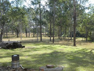 Lifestyle For Sale - NSW - Tabulam - 2469 - YOUR OWN YELLOWSTONE  (Image 2)