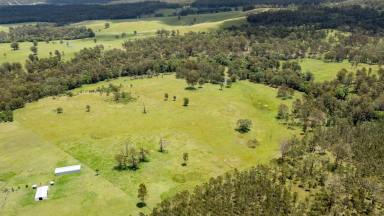 Lifestyle For Sale - NSW - Tabulam - 2469 - YOUR OWN YELLOWSTONE  (Image 2)