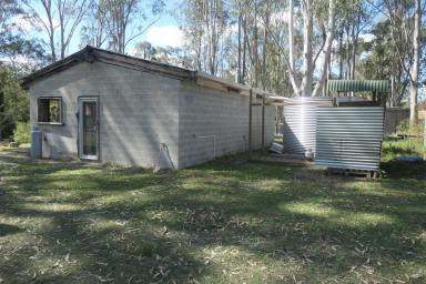 Lifestyle For Sale - NSW - Tabulam - 2469 - YOUR OWN YELLOWSTONE  (Image 2)