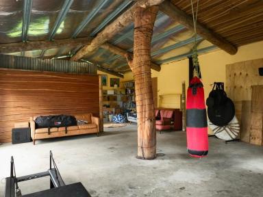 Lifestyle For Sale - NSW - Tabulam - 2469 - WILDLIFE ADVENTURE  (Image 2)