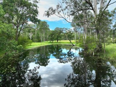 Lifestyle For Sale - NSW - Tabulam - 2469 - YOUR OWN YELLOWSTONE  (Image 2)